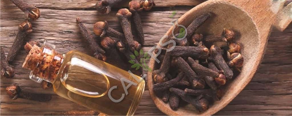 Elemi Oil Near Me
